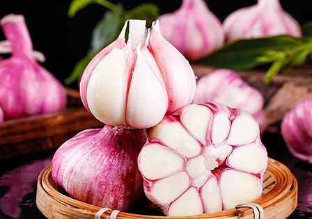 China Exports Fresh High Standard Fine Quality Garlic