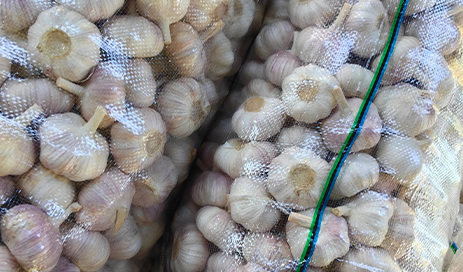 China-Exports-Fresh-High-Standard-Fine-Quality-Garlic-05
