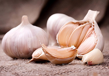 China Normal White Garlic Factory And Wholesale