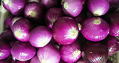 Onion