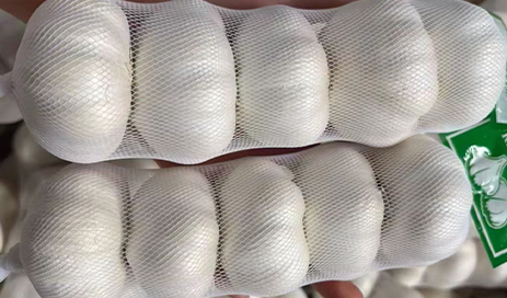 Fresh-Pure-white-garlic-with-best-price-from-china-04