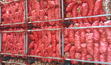 Chinese-Export-Grade-Potato04