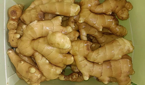 Chinese-Fresh-Ginger-supplier05