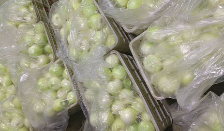 Chinese-Fresh-yellow-onion-supplier03