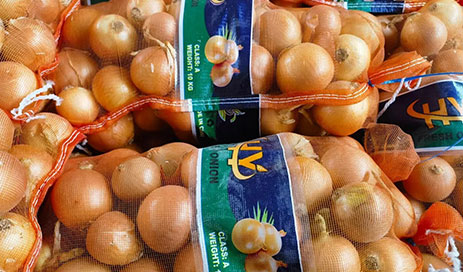 Chinese-Fresh-yellow-onion-supplier05