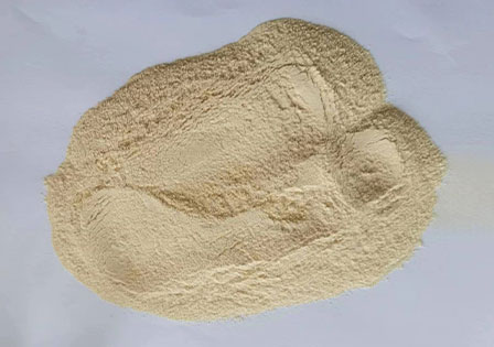Chinese Garlic Powder