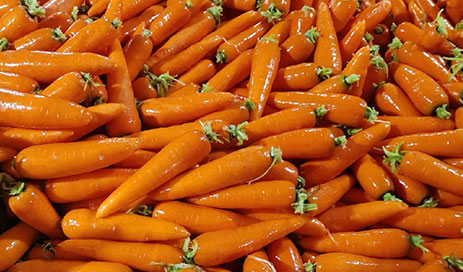Chinese-Red-Carrot05