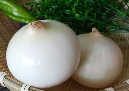 Chinese White Onion