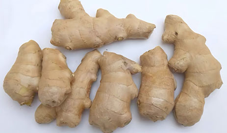 Chinese-supplier-of-dried-ginger04