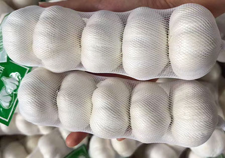 Directly Supplied Chinese Garlic From The Farm