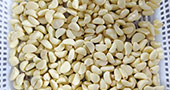 Garlic Cloves