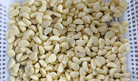 Fresh-Garlic-Cloves05
