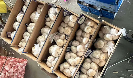 Fresh-Normal-Pure-White-Dried-Garlic-Mesh-Bag-Carton03