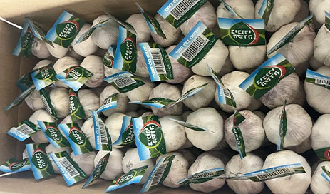 Fresh-Normal-Pure-White-Dried-Garlic-Mesh-Bag-Carton05