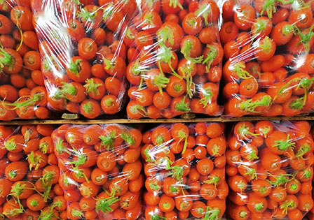 Fresh Carrot Supplier
