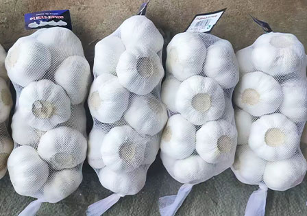 High Quality Garlic Organic Crops Standardized Processing
