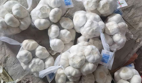 High-Quality-Garlic-Organic-Crops-Standardized-Processing03