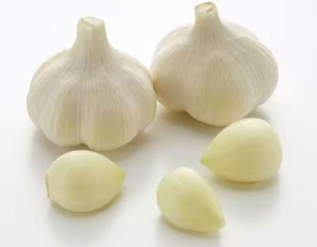 The Edible Value of Garlic