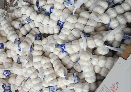 Wholesale China Fresh Normal White Garlic Factory Price of High Quality