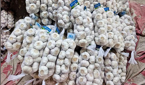 Wholesale-China-Fresh-Normal-White-Garlic-Factory-Price-of-High-Quality03