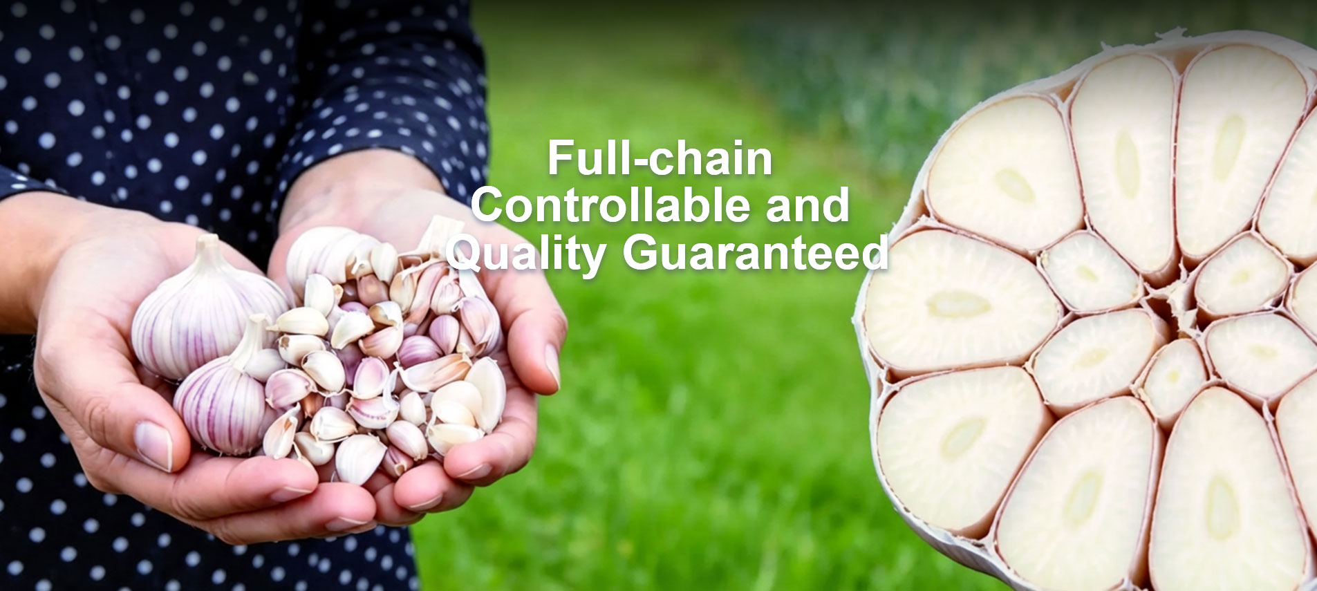Henan Leming Agricultural Co., Ltd.