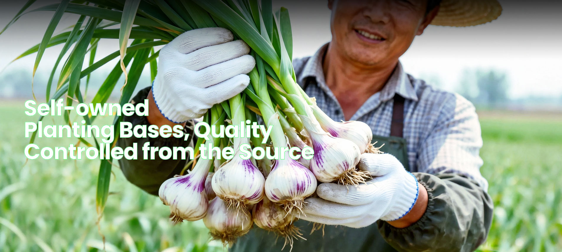 Henan Leming Agricultural Co., Ltd.