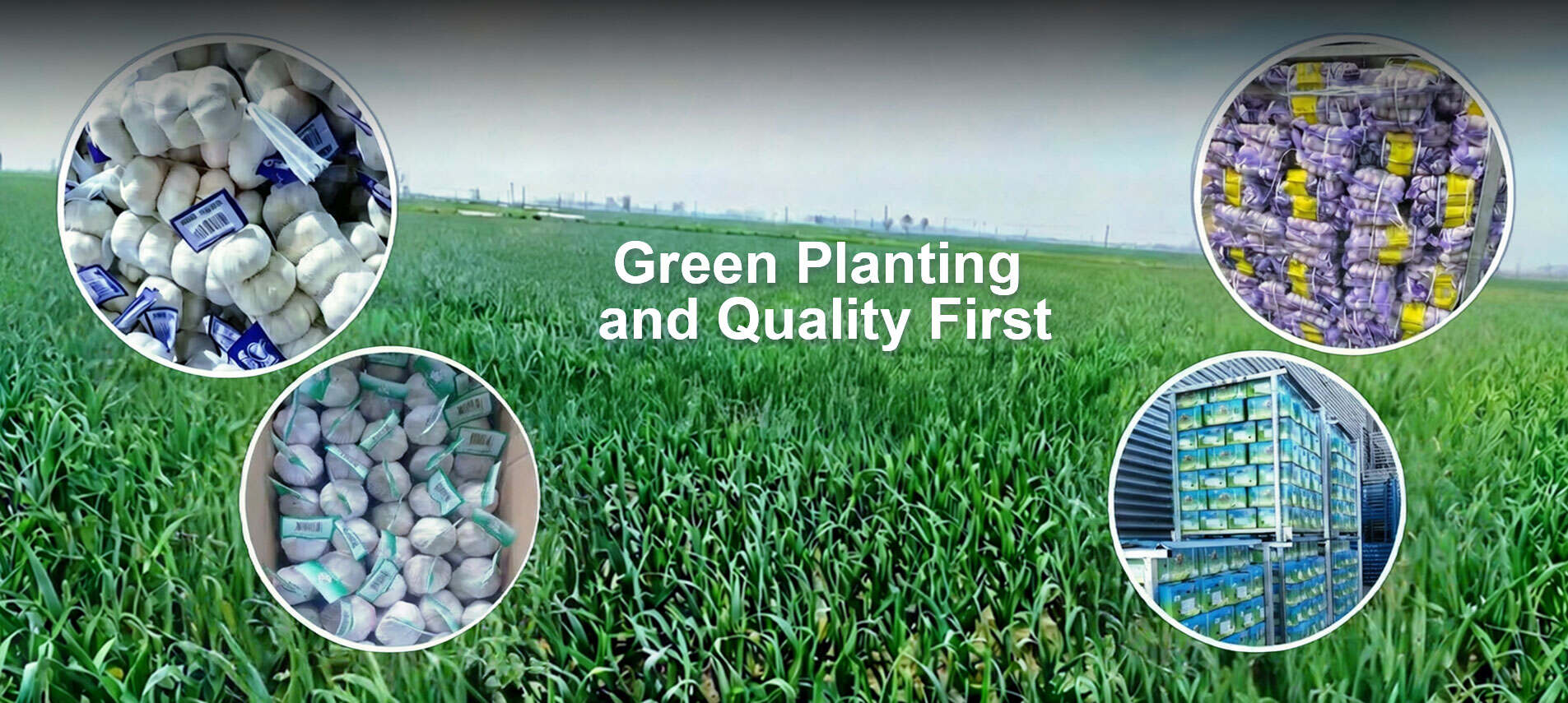 Henan Leming Agricultural Co., Ltd.